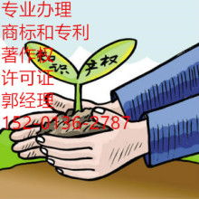 網絡文化經營 機遇、挑戰與合規之道